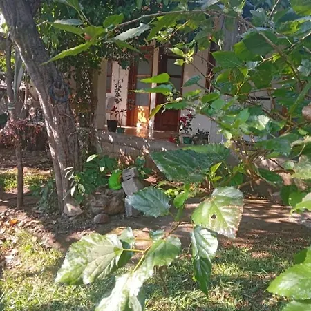 Hotel San Antonio